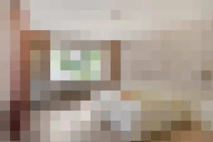 Van Heemstralaan 20 Arnhem thumbnail 34