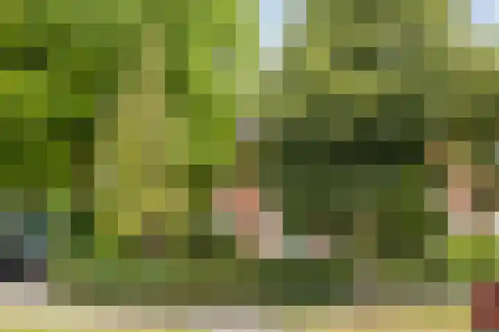 Van Heemstralaan 20 Arnhem thumbnail 56