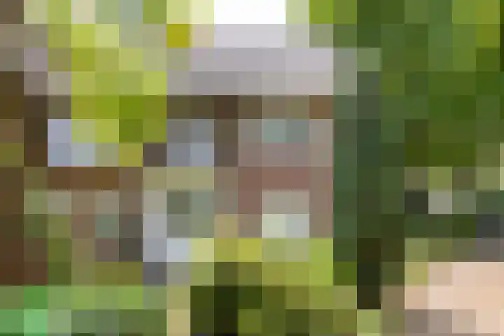 Van Heemstralaan 20 Arnhem thumbnail 57