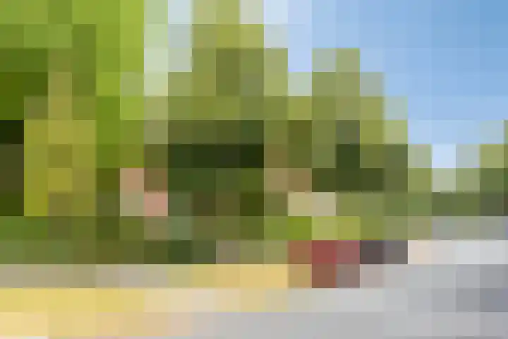 Van Heemstralaan 20 Arnhem thumbnail 65