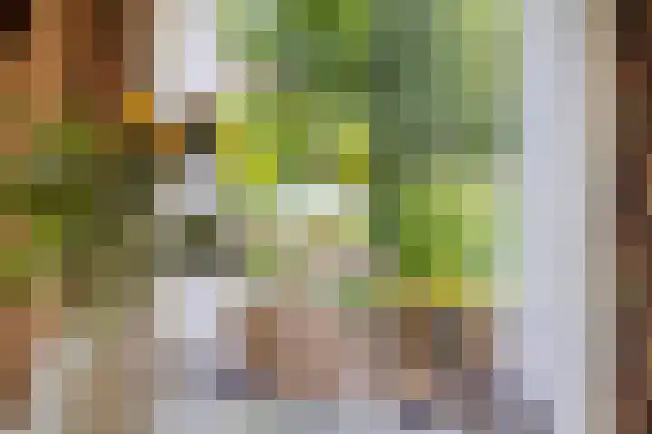Van Heemstralaan 20 Arnhem thumbnail 9