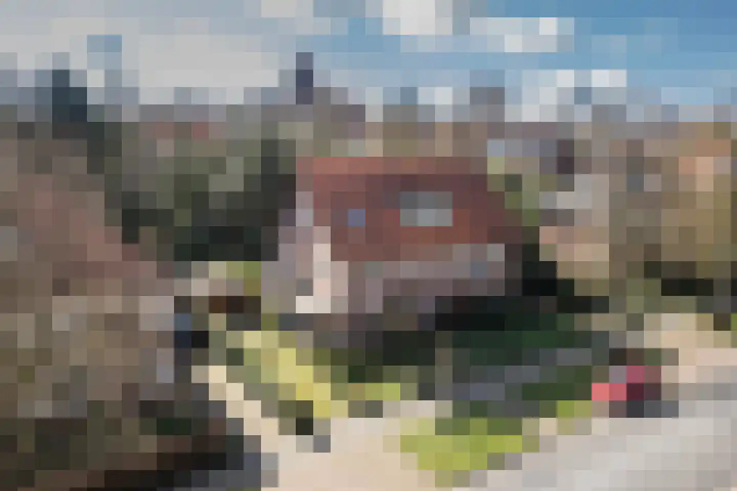 Van Heemstralaan 31 Arnhem
