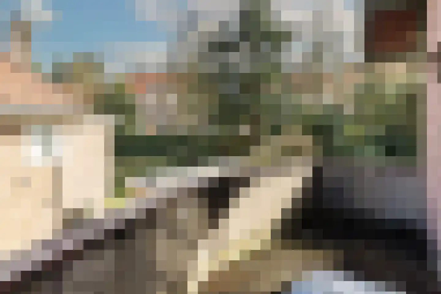 Van Heemstralaan 31 Arnhem thumbnail 22