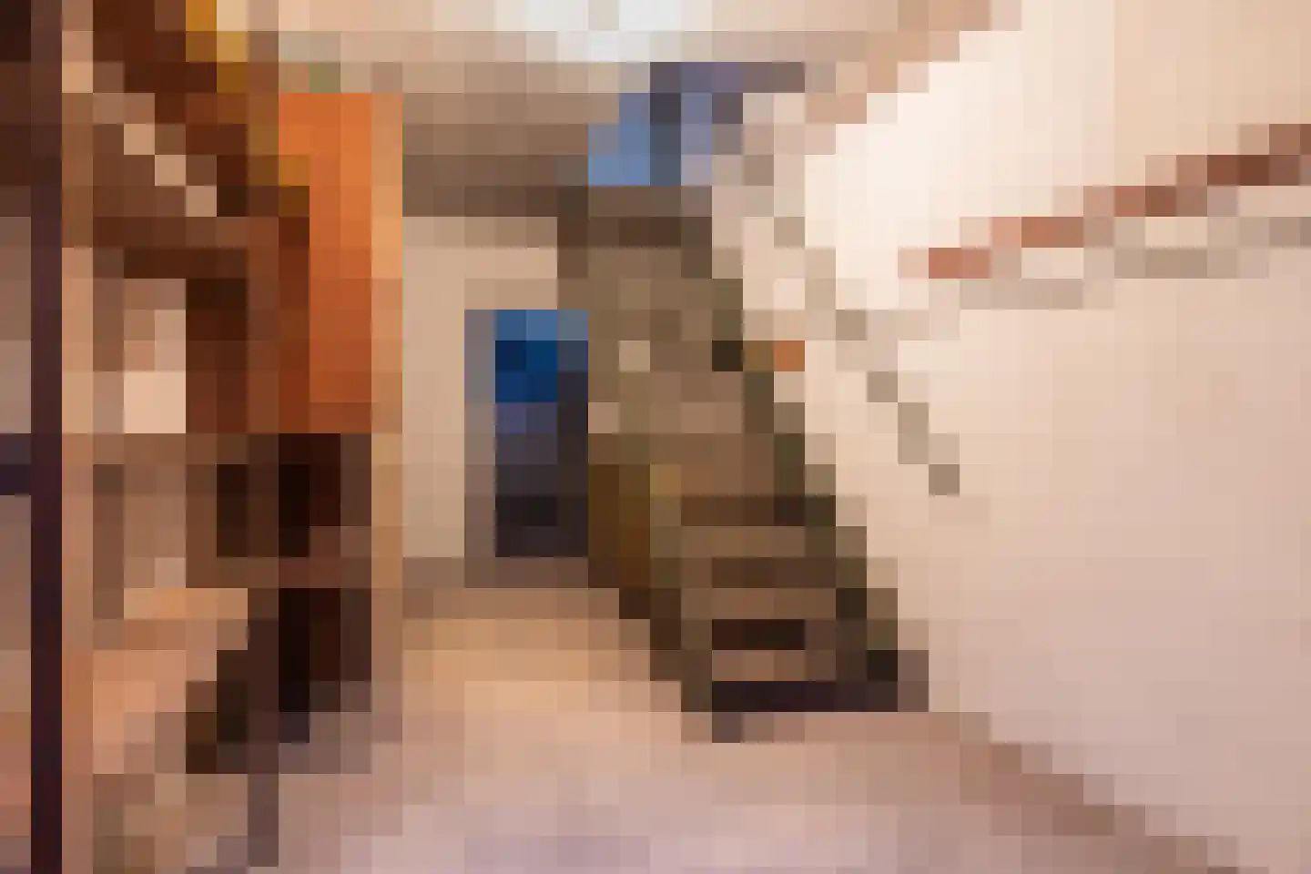 Van Heemstralaan 31 Arnhem thumbnail 33