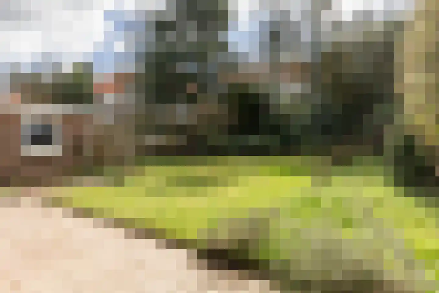 Van Heemstralaan 31 Arnhem thumbnail 37
