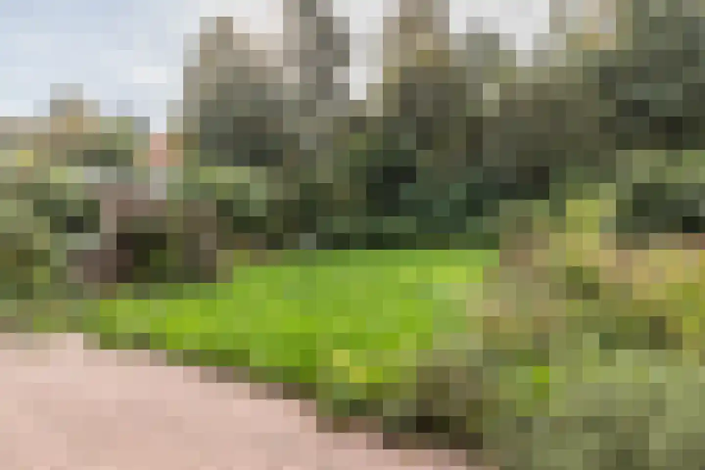 Van Heemstralaan 31 Arnhem thumbnail 37