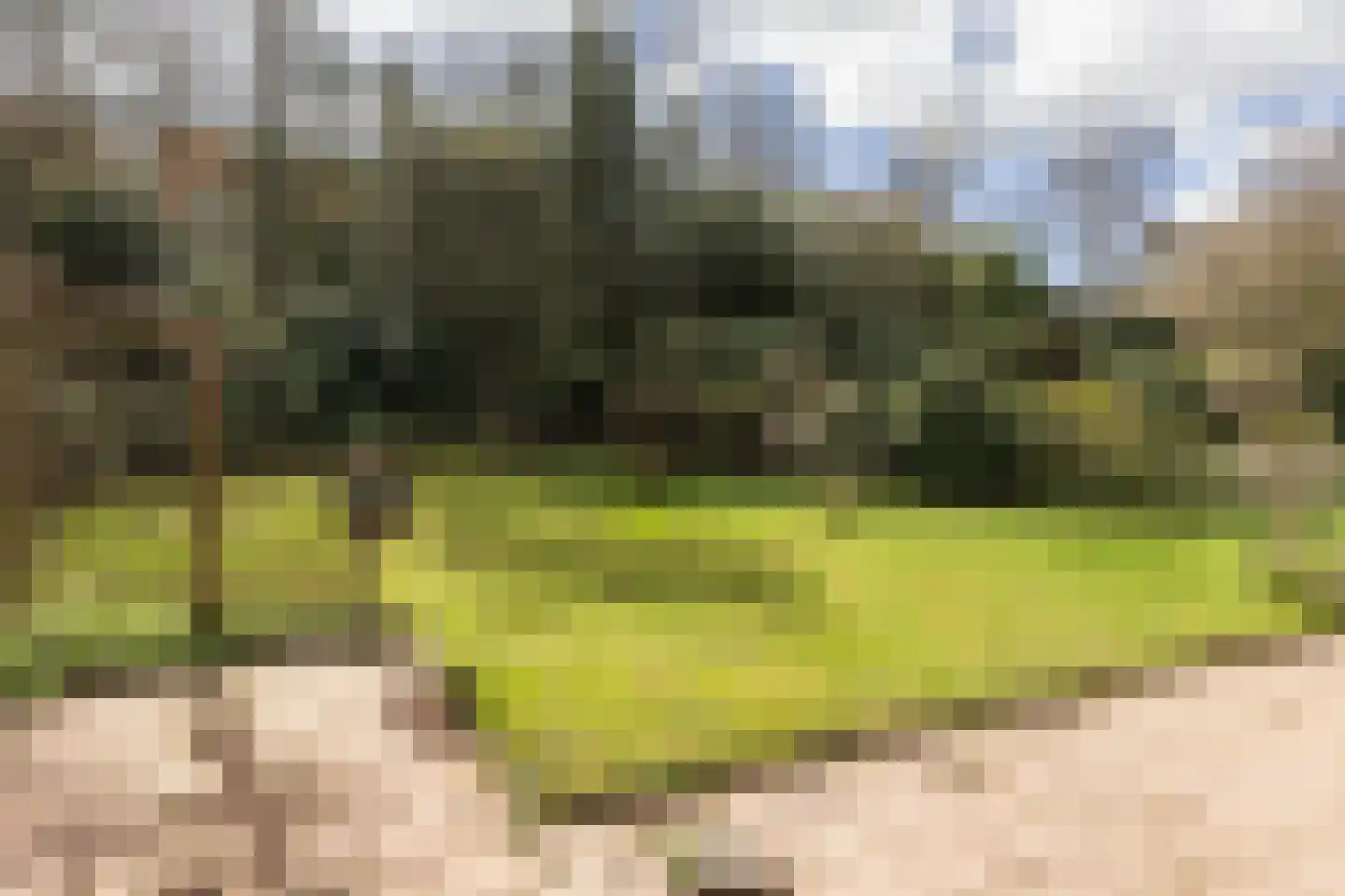 Van Heemstralaan 31 Arnhem thumbnail 38