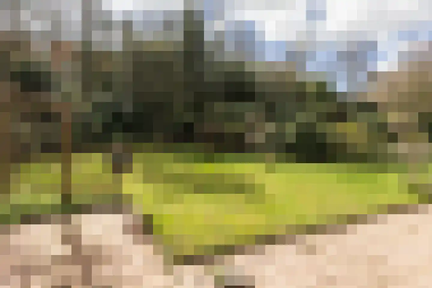 Van Heemstralaan 31 Arnhem thumbnail 38