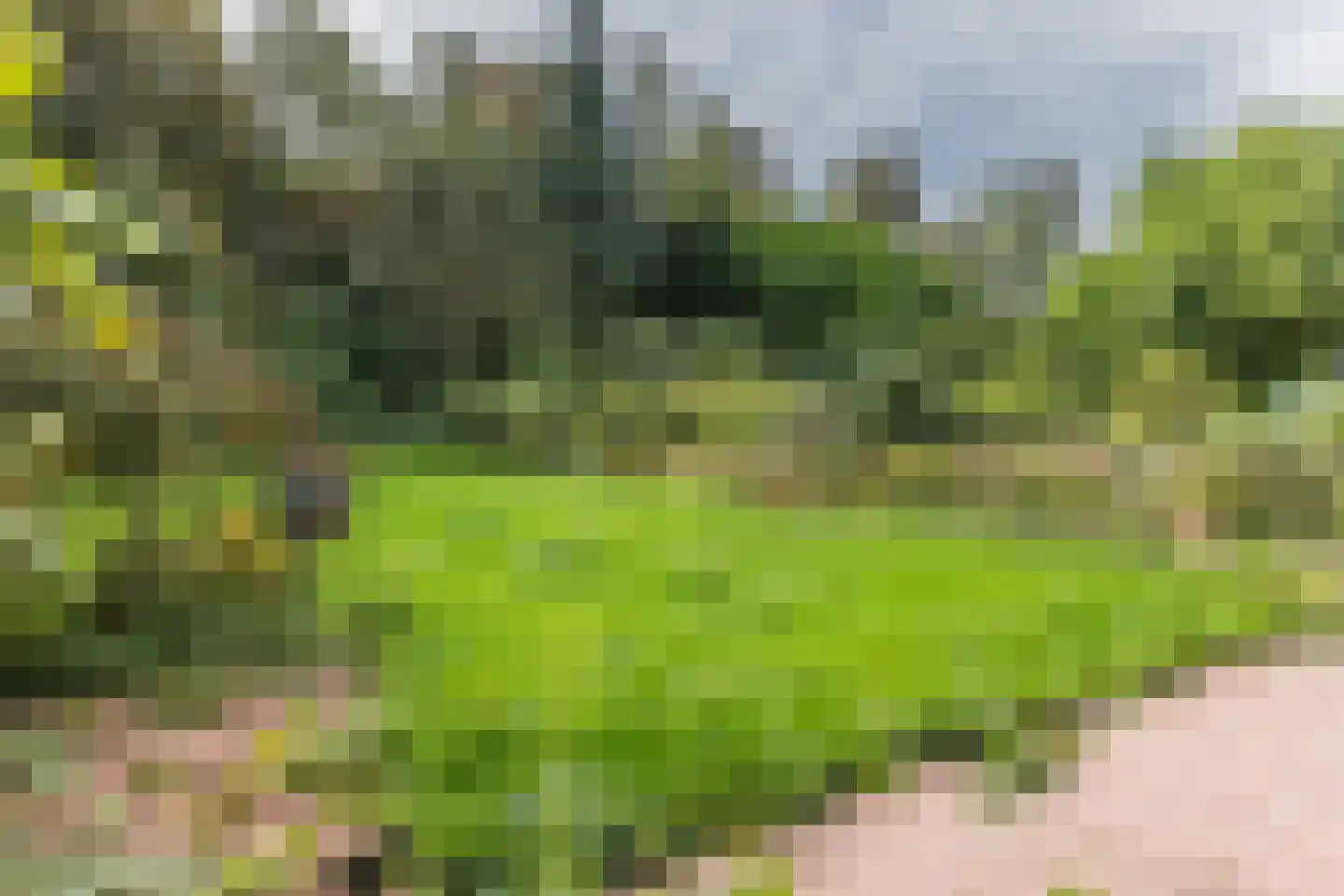 Van Heemstralaan 31 Arnhem thumbnail 38
