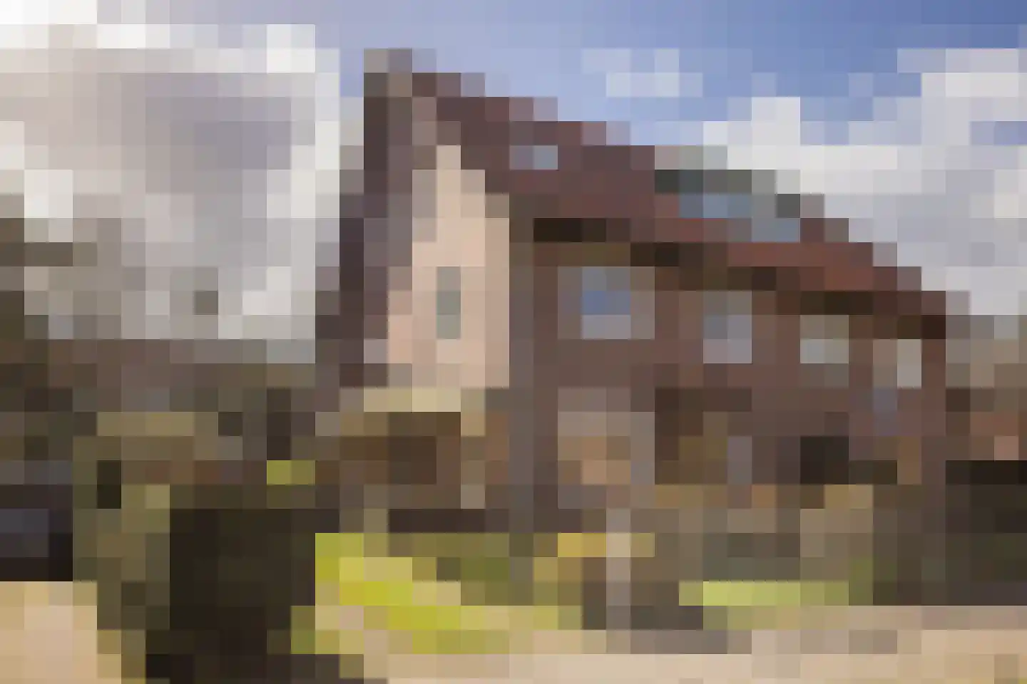 Van Heemstralaan 31 Arnhem thumbnail 39