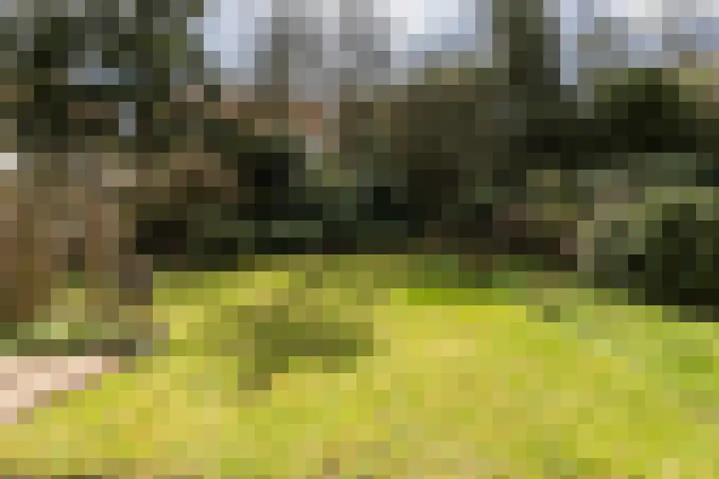 Van Heemstralaan 31 Arnhem thumbnail 4
