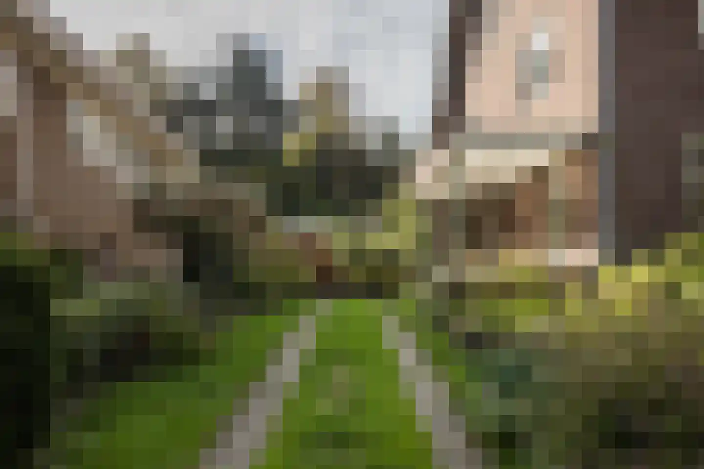 Van Heemstralaan 31 Arnhem thumbnail 5