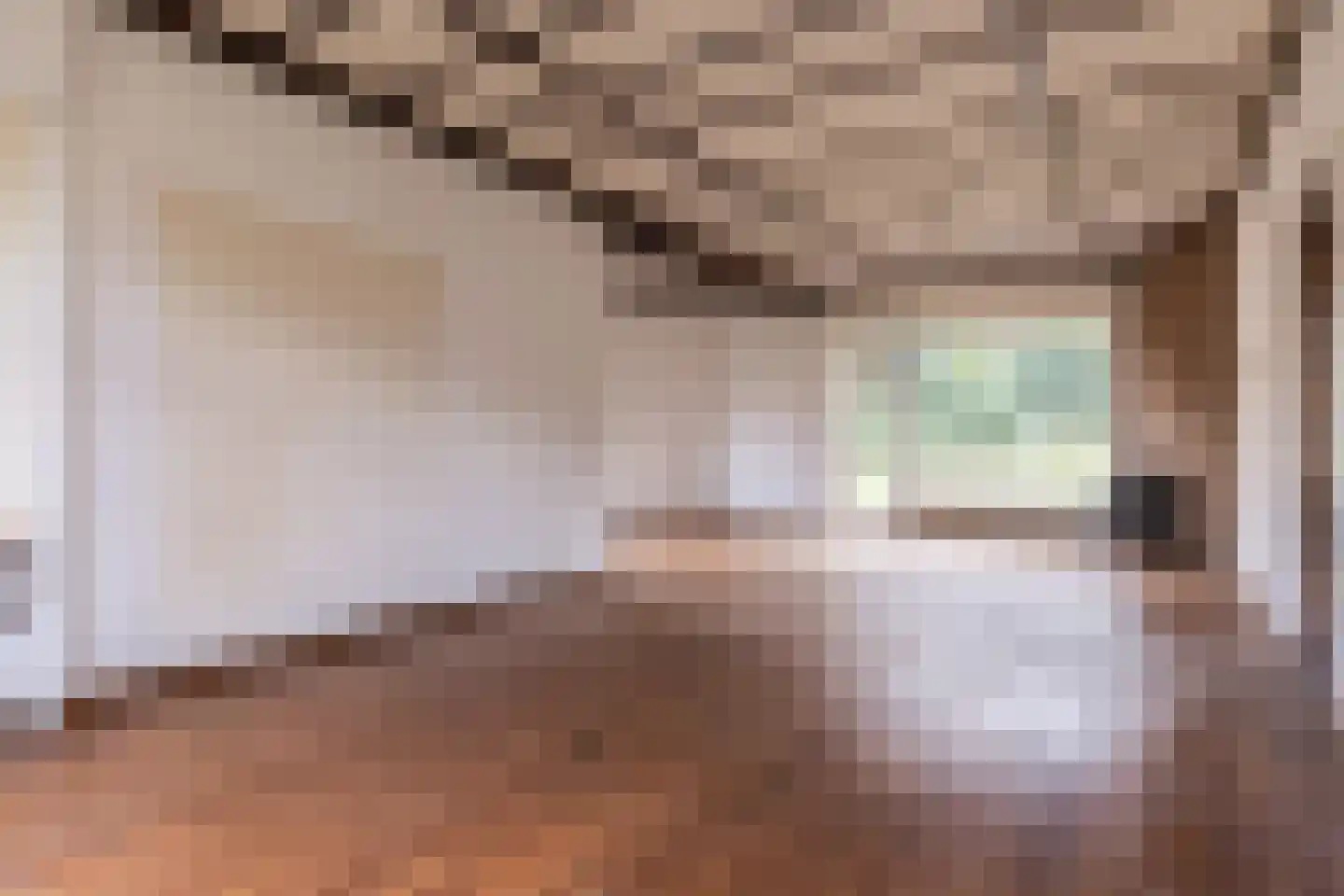 Van Heemstralaan 31 Arnhem thumbnail 8