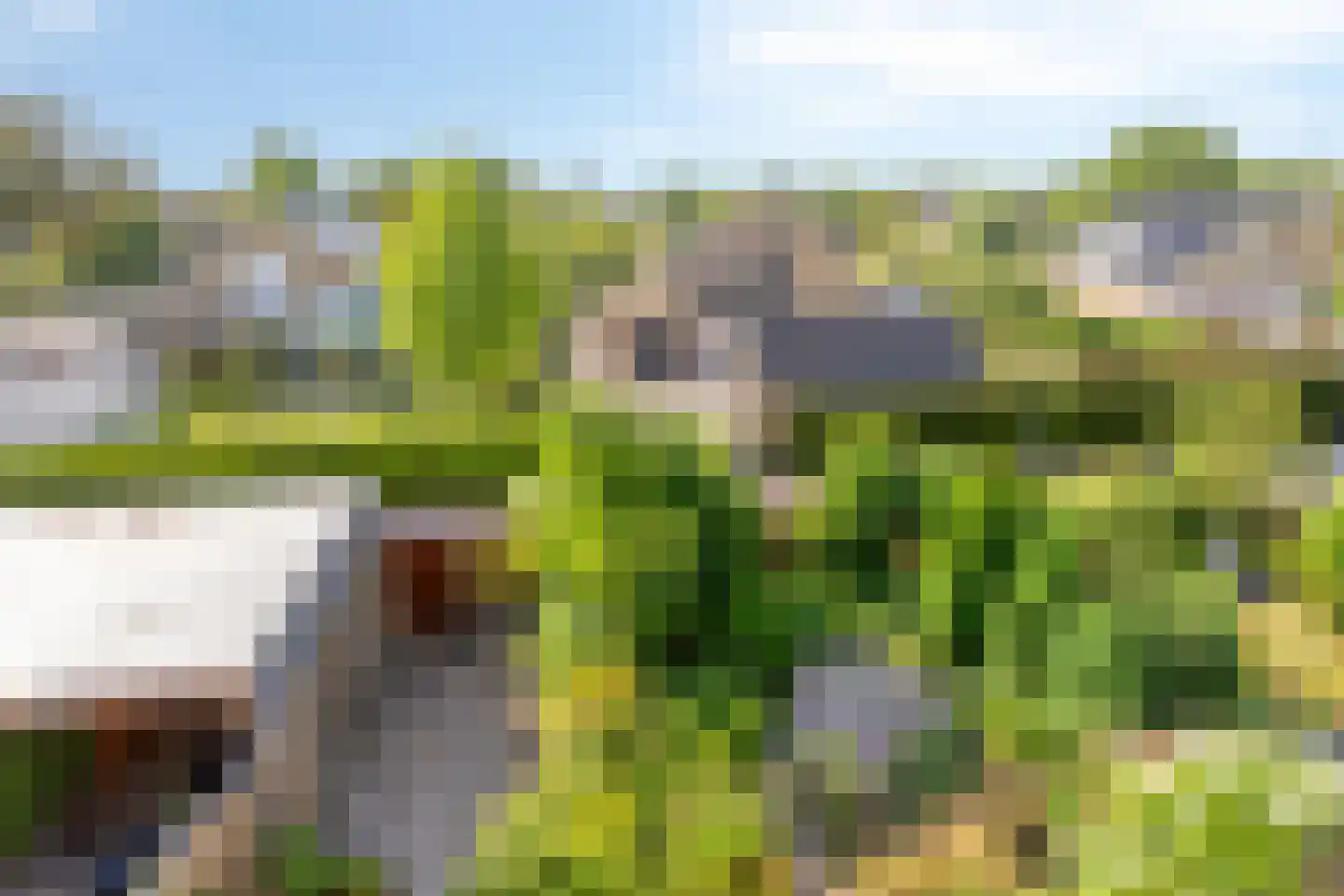 van Heemstralaan 38 Fijnaart thumbnail 24