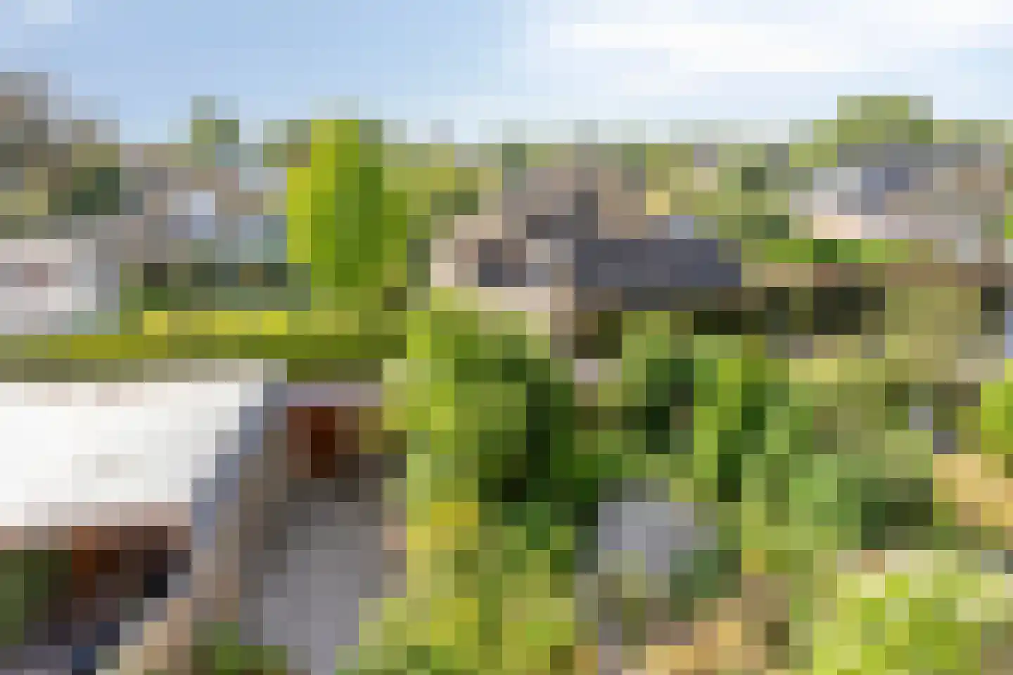 van Heemstralaan 38 Fijnaart thumbnail 24