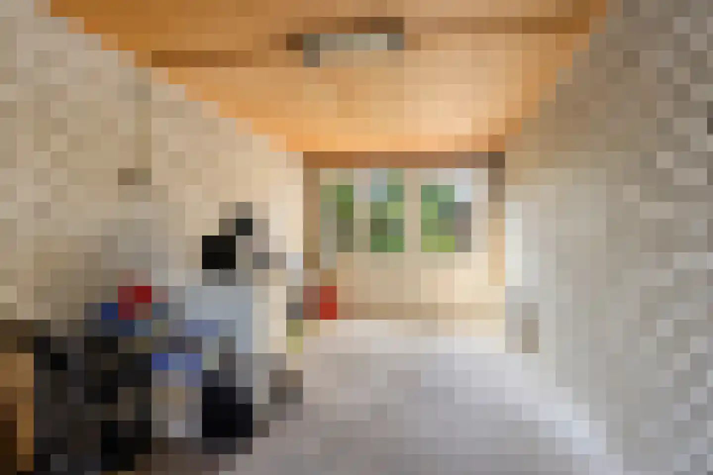 van Heemstralaan 38 Fijnaart thumbnail 25