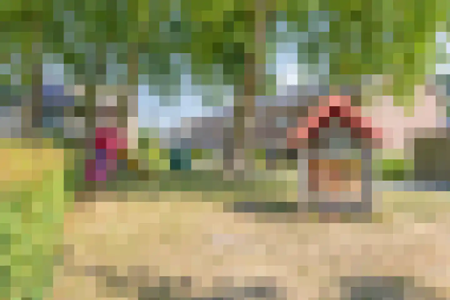 van Heemstralaan 38 Fijnaart thumbnail 31
