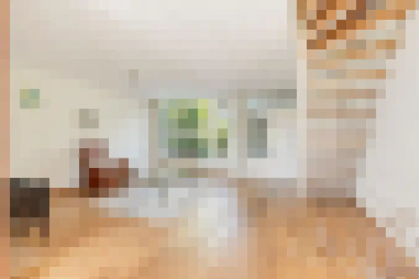 van Heemstralaan 38 Fijnaart thumbnail 8