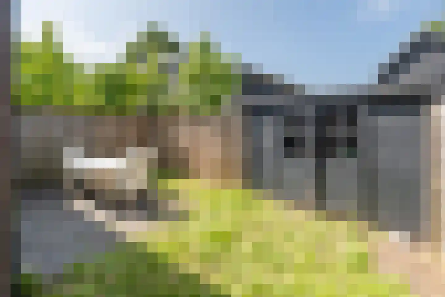 van Heemstrastraat 12 a Driebergen-Rijsenburg thumbnail 32