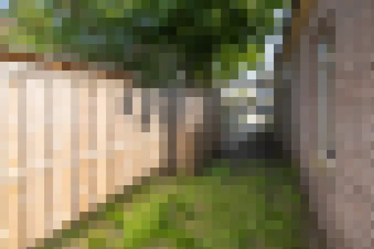 van Heemstrastraat 12 a Driebergen-Rijsenburg thumbnail 34
