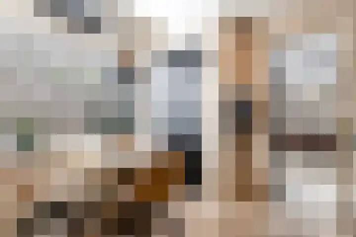 van Heemstrastraat 17 Driebergen-Rijsenburg thumbnail 9