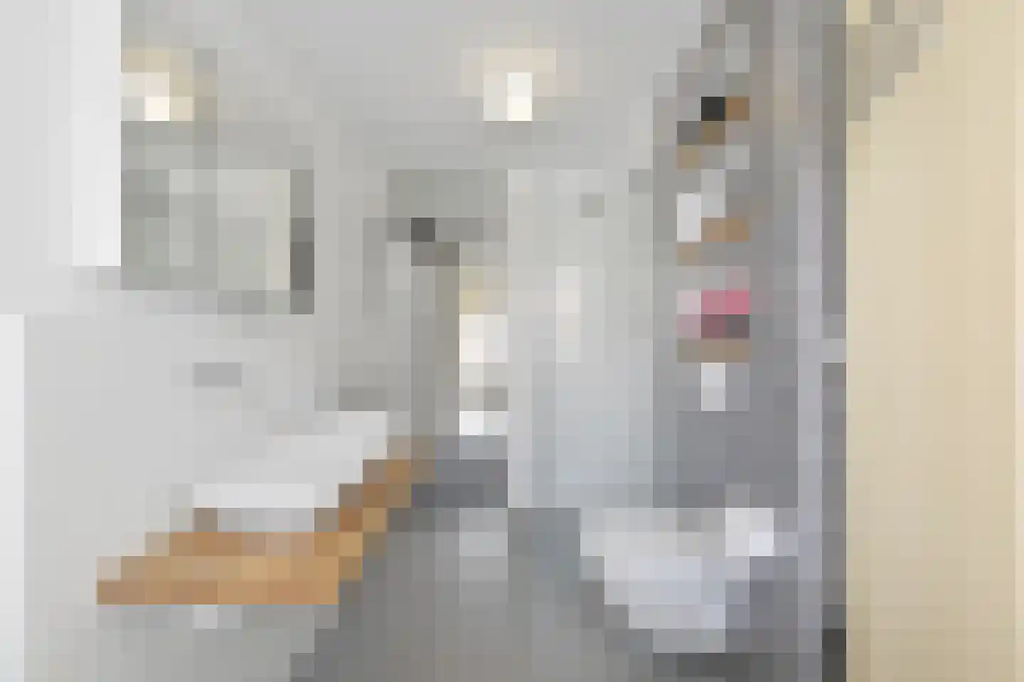 Van Heemstrastraat 26 Delft thumbnail 31
