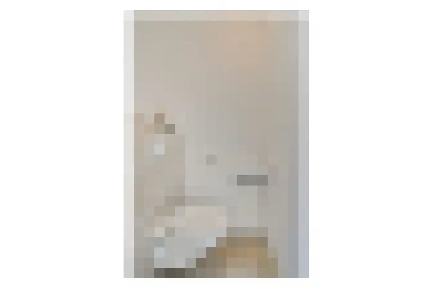 van Heemstrastraat 27 Sassenheim thumbnail 12