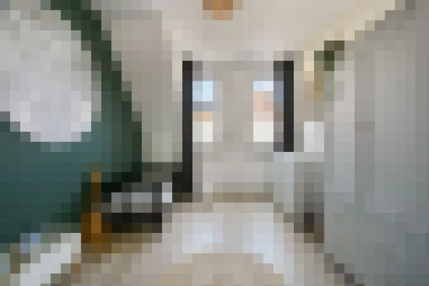 van Heemstrastraat 27 Sassenheim thumbnail 18