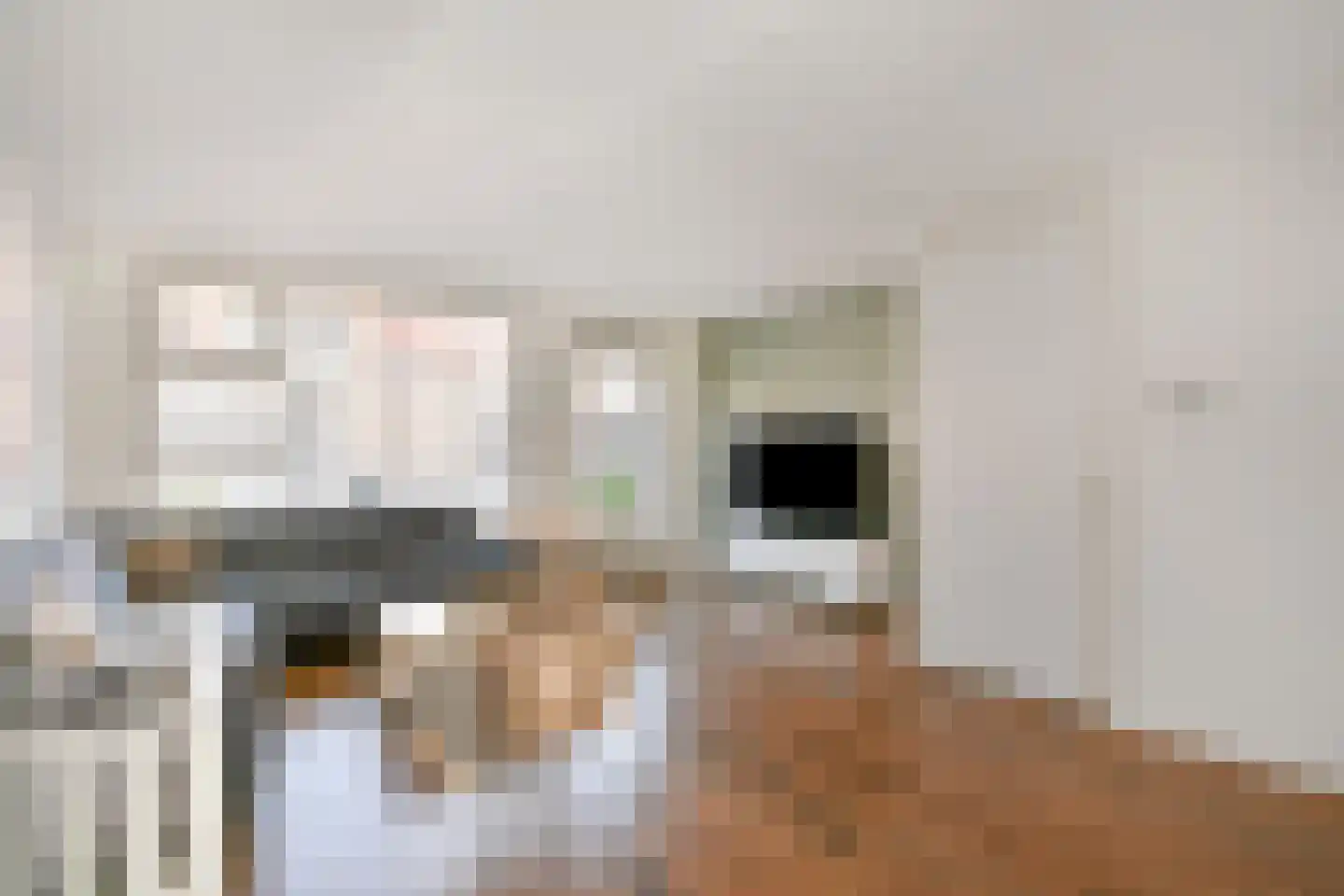 van Heemstrastraat 27 Sassenheim thumbnail 5
