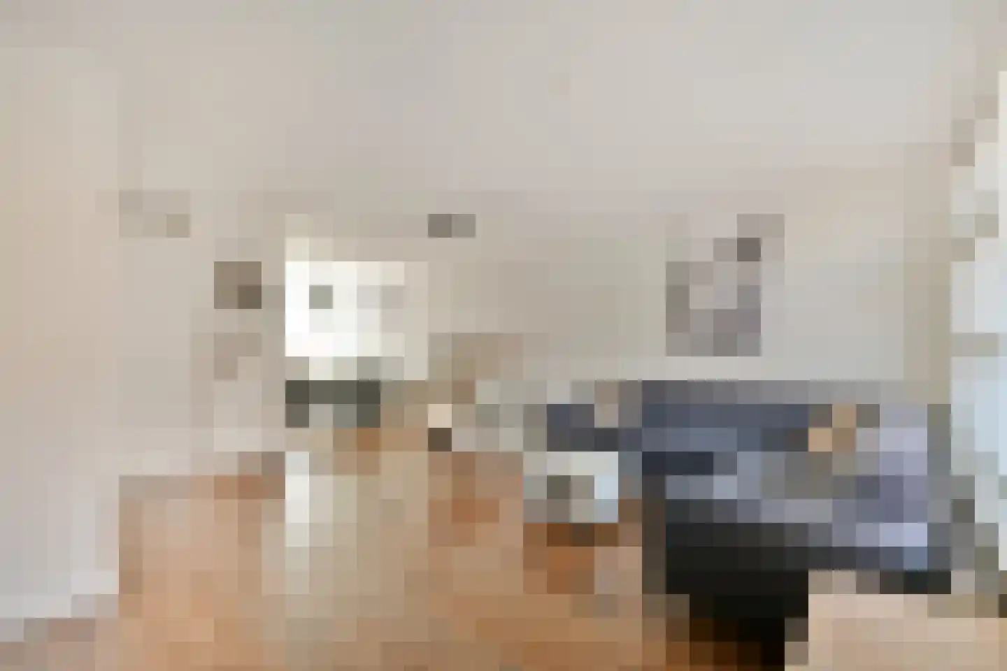 van Heemstrastraat 27 Sassenheim thumbnail 6