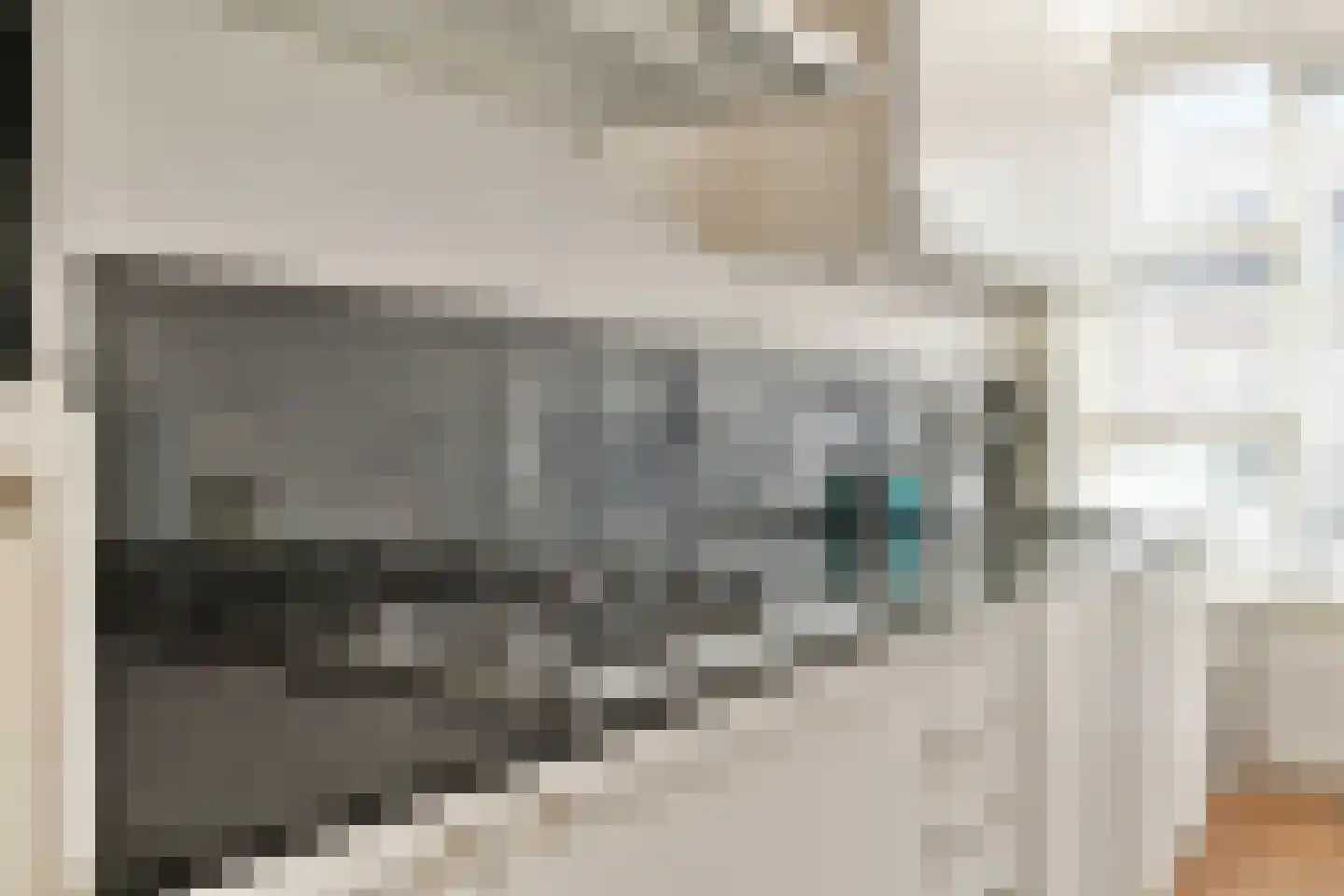 van Heemstrastraat 27 Sassenheim thumbnail 9