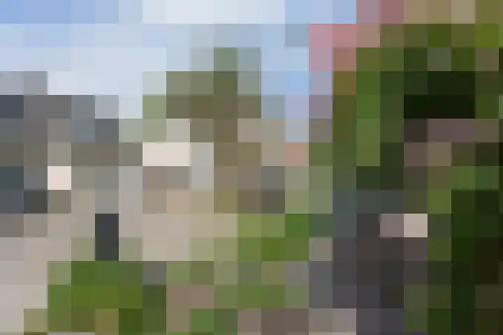 van Heemstrastraat 3 Driebergen-Rijsenburg thumbnail 46