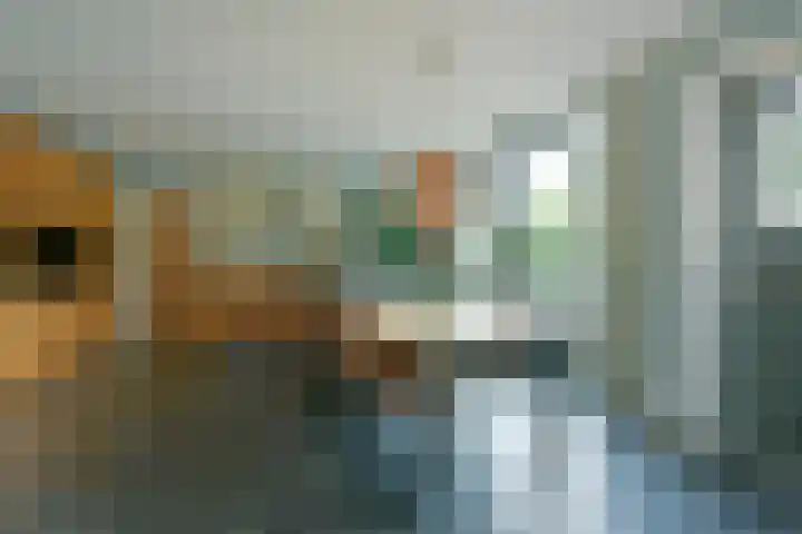 van Heemstrastraat 3 Driebergen-Rijsenburg thumbnail 6