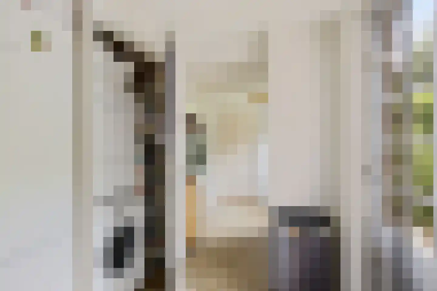 Van Heemstrastrjitte 10 Balk thumbnail 15