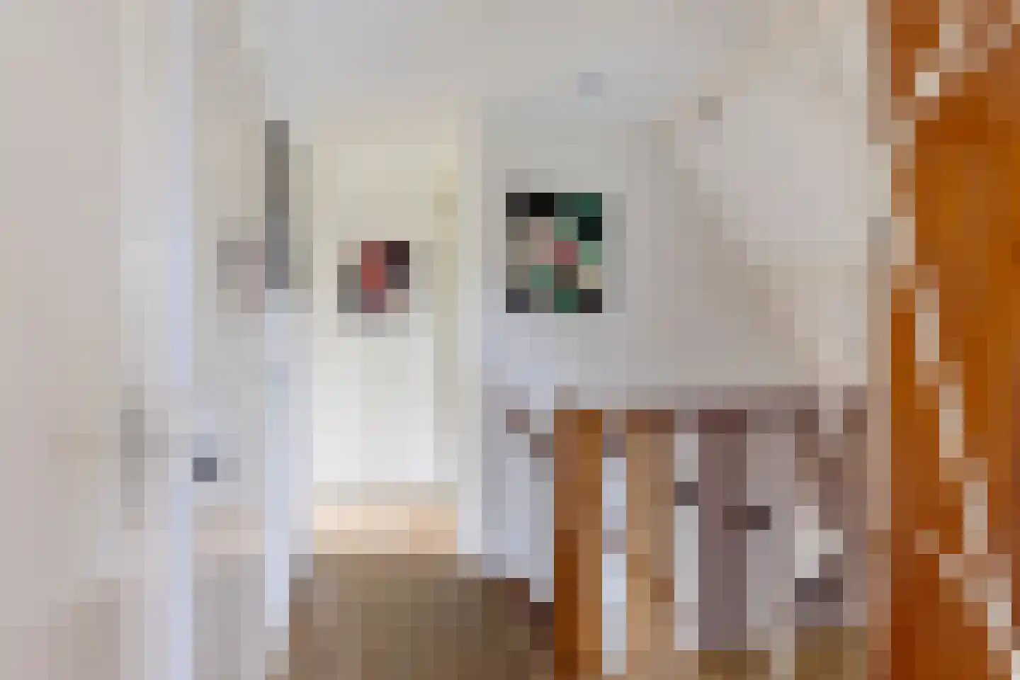 Van Heemstrastrjitte 10 Balk thumbnail 20