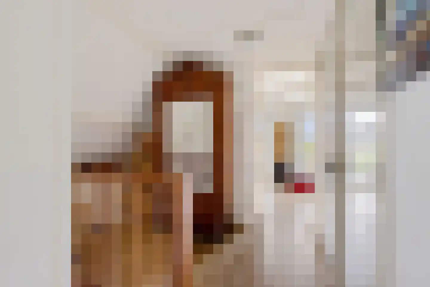 Van Heemstrastrjitte 10 Balk thumbnail 21