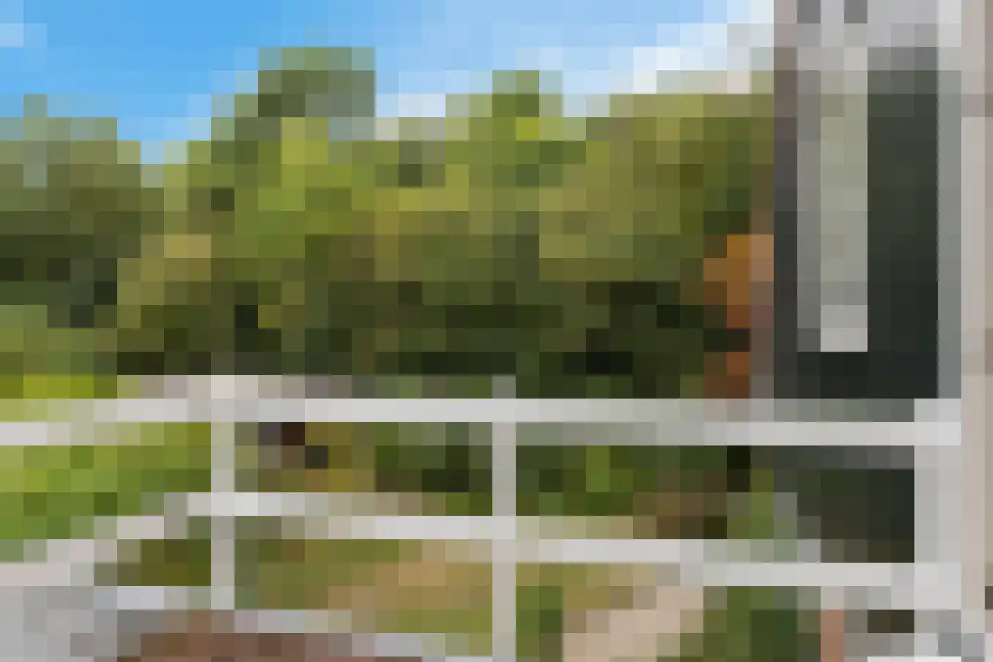 Van Heemstrastrjitte 10 Balk thumbnail 24
