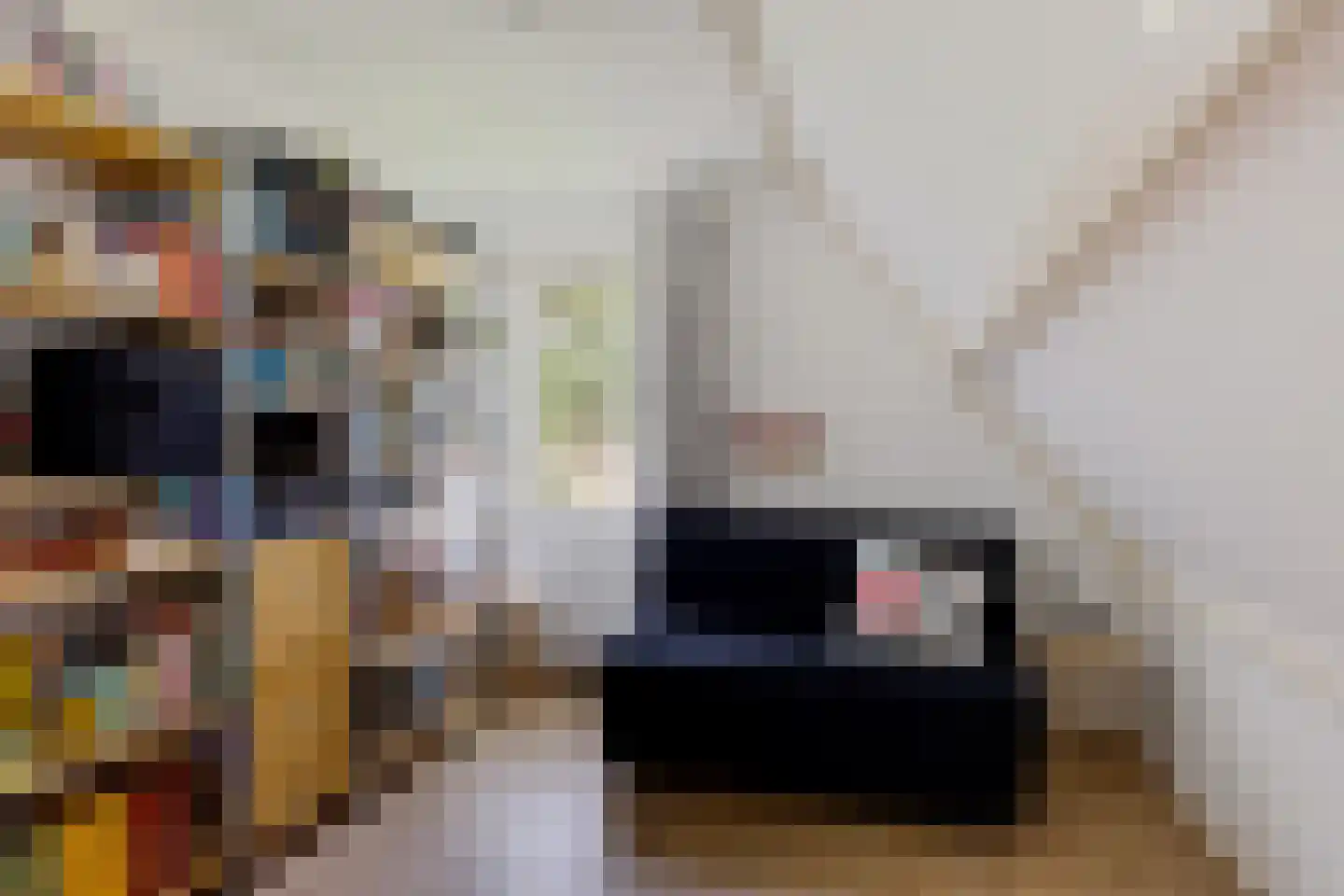 Van Heemstrastrjitte 10 Balk thumbnail 26