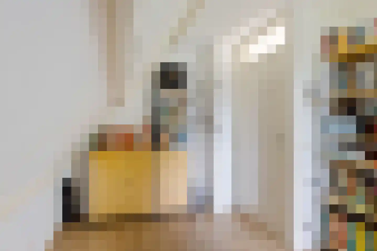 Van Heemstrastrjitte 10 Balk thumbnail 27