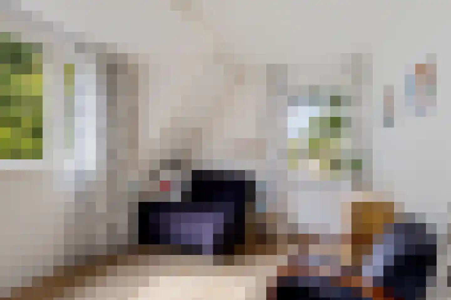 Van Heemstrastrjitte 10 Balk thumbnail 28