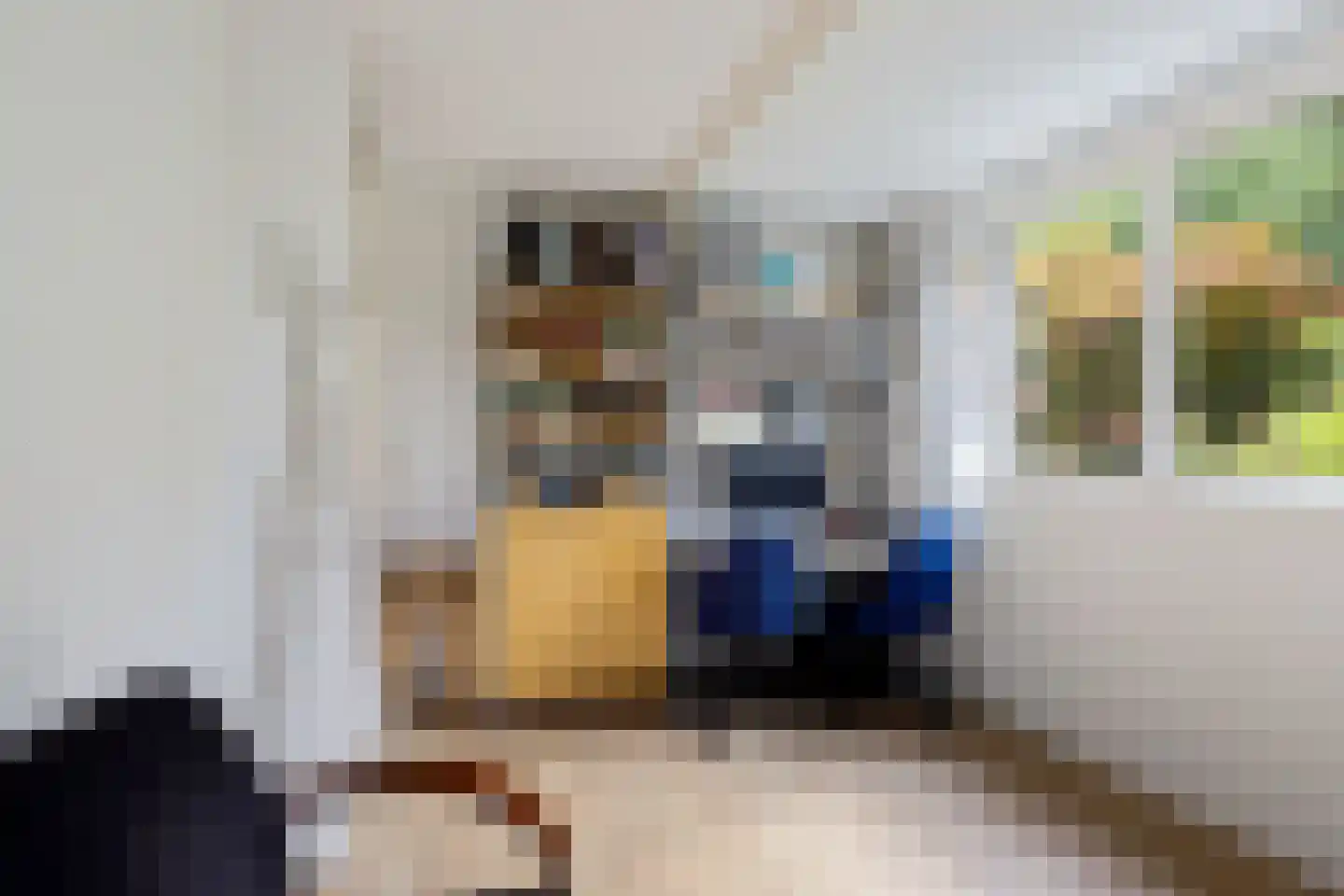 Van Heemstrastrjitte 10 Balk thumbnail 29