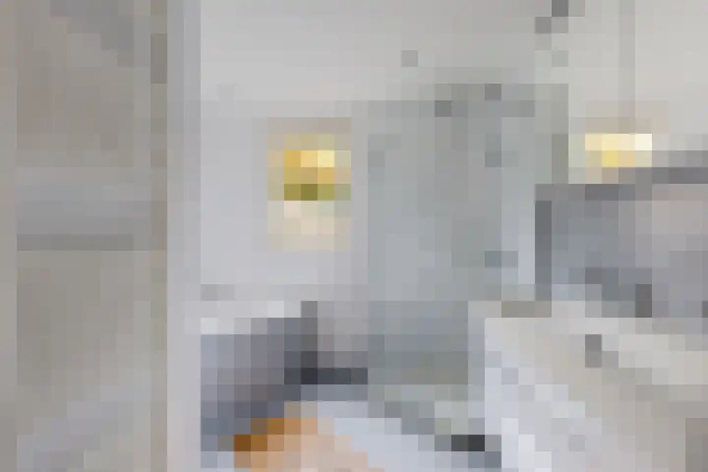 Van Heemstrastrjitte 10 Balk thumbnail 30
