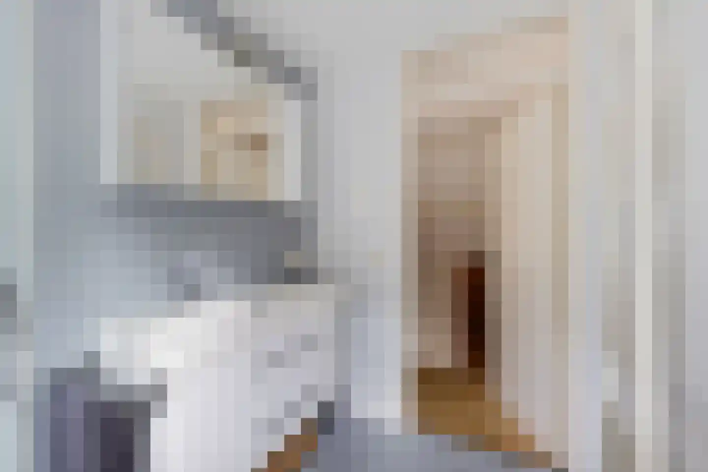 Van Heemstrastrjitte 10 Balk thumbnail 31