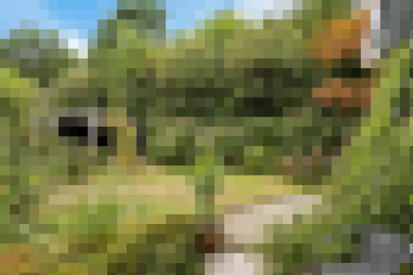 Van Heemstrastrjitte 10 Balk thumbnail 32