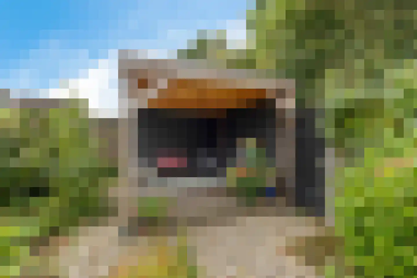 Van Heemstrastrjitte 10 Balk thumbnail 33