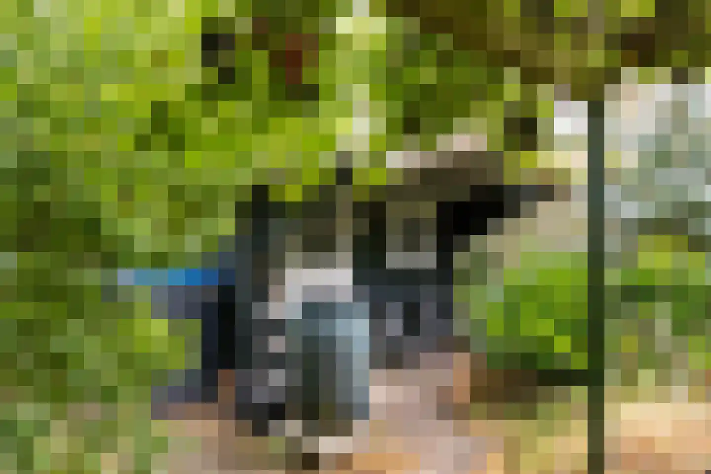 Van Heemstrastrjitte 10 Balk thumbnail 35