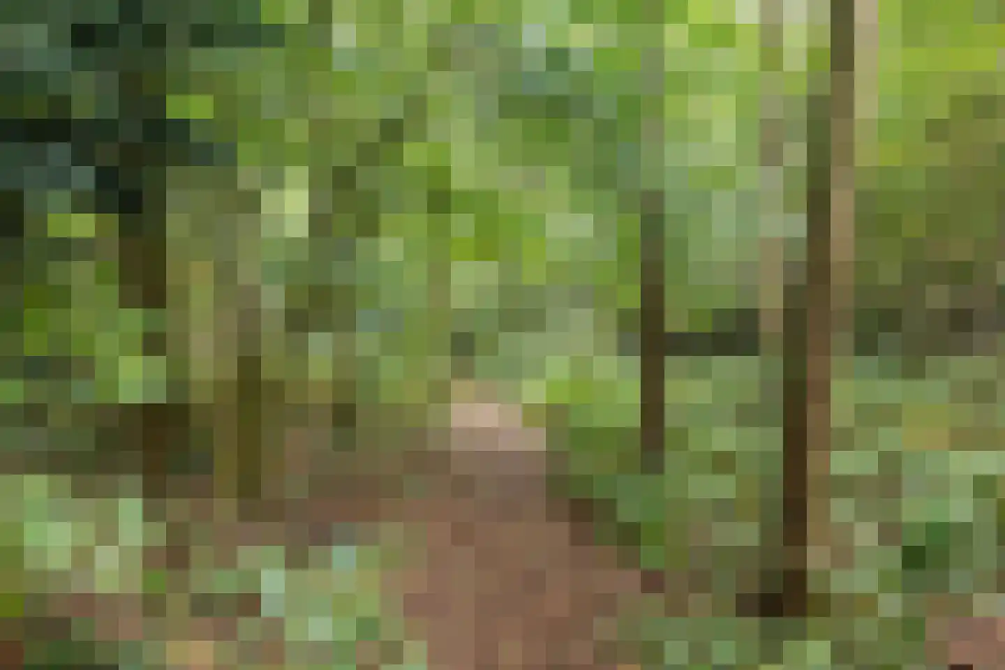 Van Heemstrastrjitte 10 Balk thumbnail 36