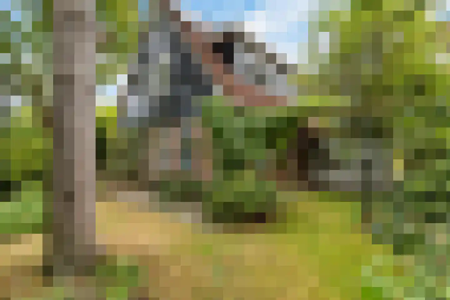 Van Heemstrastrjitte 10 Balk thumbnail 37