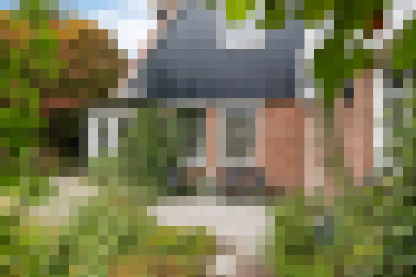 Van Heemstrastrjitte 10 Balk thumbnail 38
