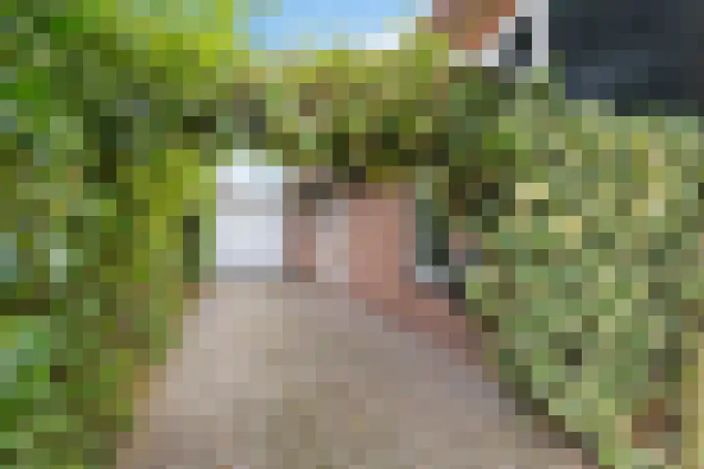 Van Heemstrastrjitte 10 Balk thumbnail 39